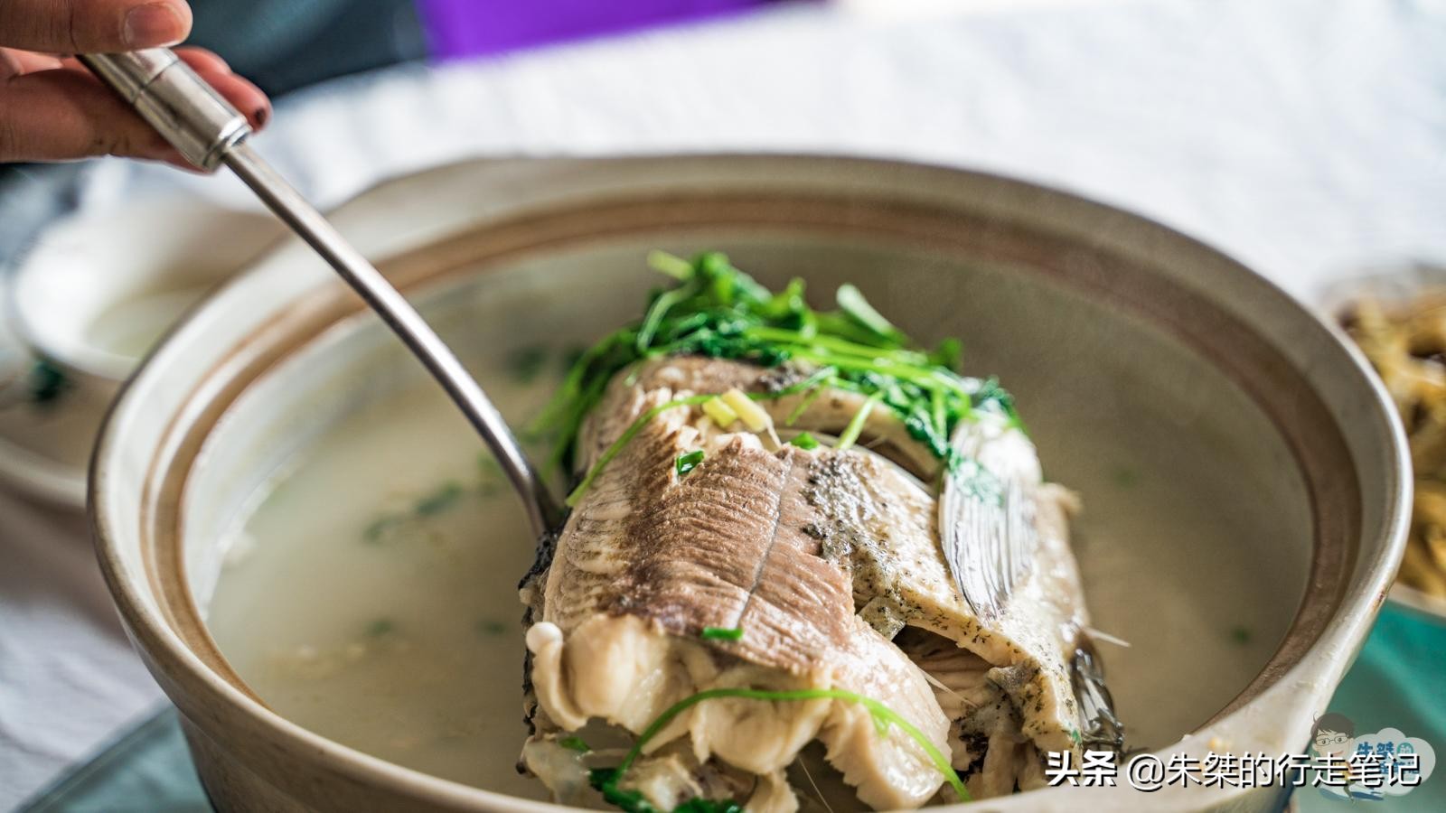 溧阳市区天目湖鱼头汤哪家最正宗,来溧阳一定要尝天目湖鱼头汤