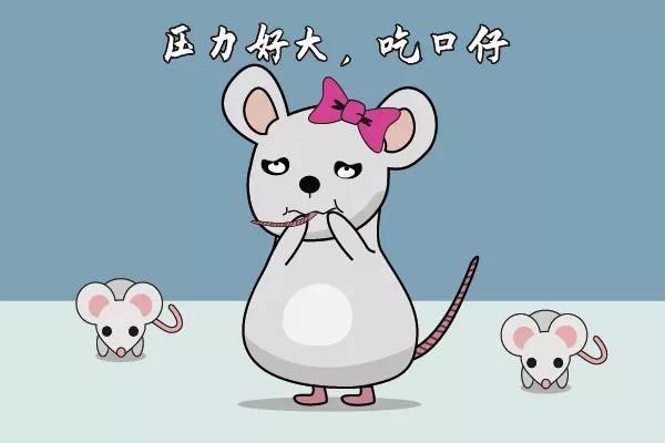 走近科学鼠王,走近科学之消失的巴士