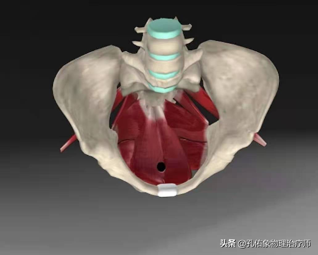 女性漏尿，究竟是怎么导致的？要如何治疗？一文给您详细解答