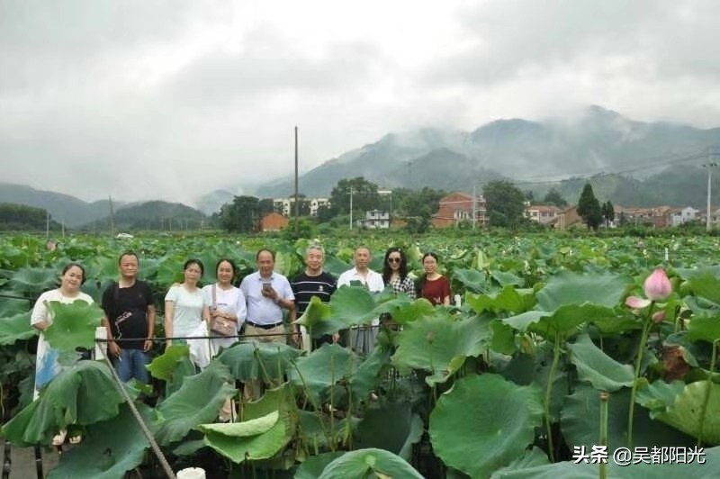 走进最美丽灵秀的黄梅县