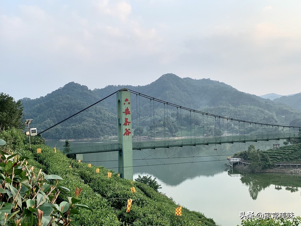 中国茶叶十大名茶有哪些,中国茶叶最好喝的是哪种茶