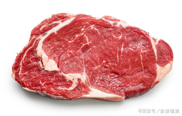 新手宠物推荐平价猫粮品牌,宠物猫粮品牌排行榜成年猫