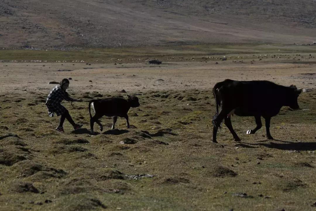阿曼古丽广东,阿曼古丽义乌
