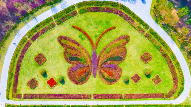 第一次带妈妈去旅游应该去哪里,适合带妈妈去旅行的地方