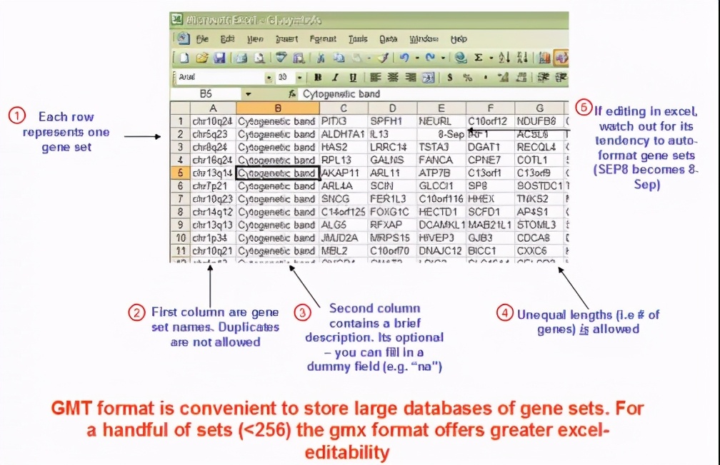 gsea鍒嗘瀽鏁欑▼璇﹁В,gsea鍒嗘瀽鏁欑▼