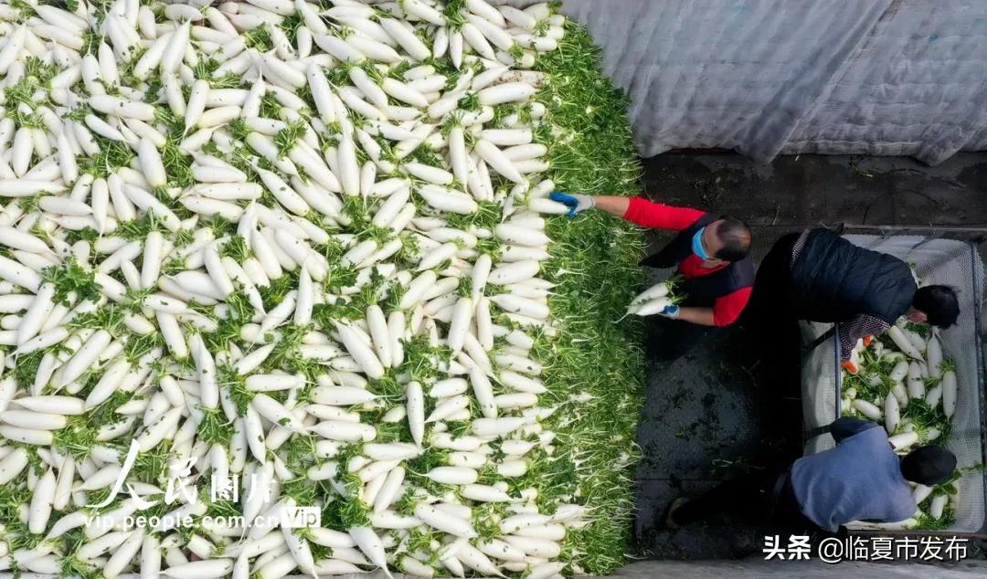 战疫二十四小时纪录片感悟,战疫最让人震撼和感动的瞬间