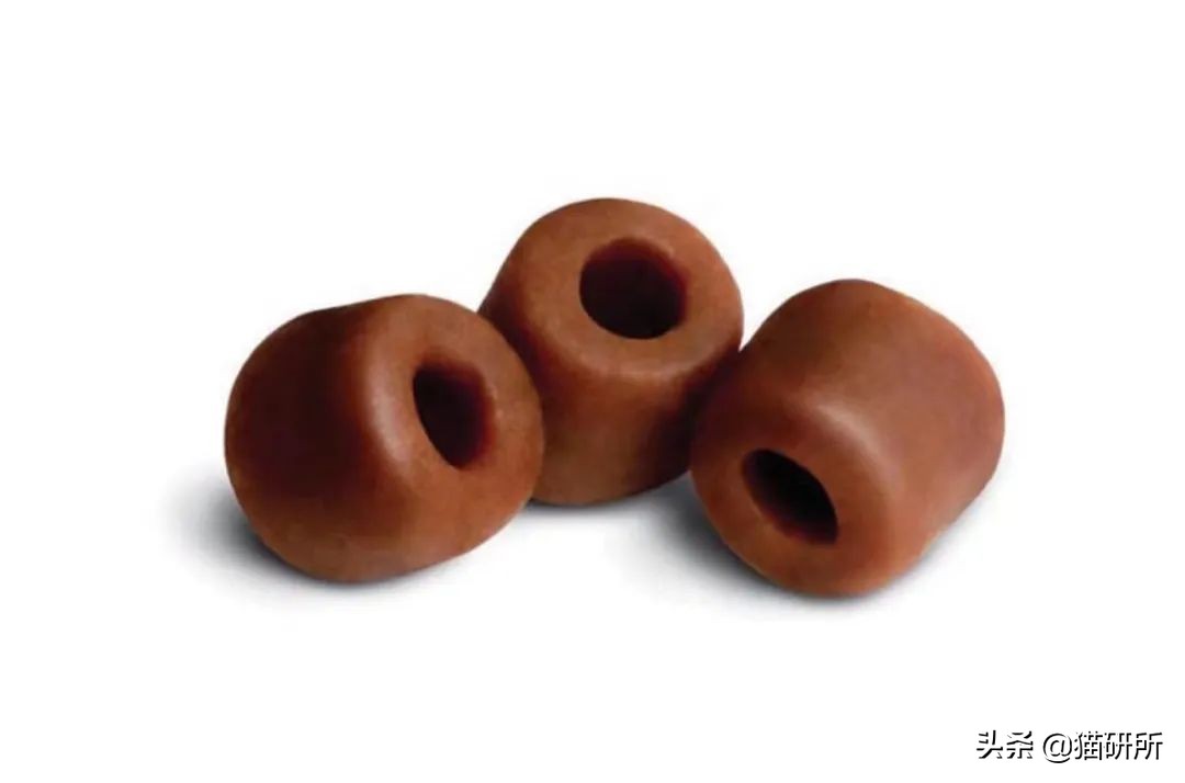 一学就会的训猫技巧,手把手教你给猫咪喂药