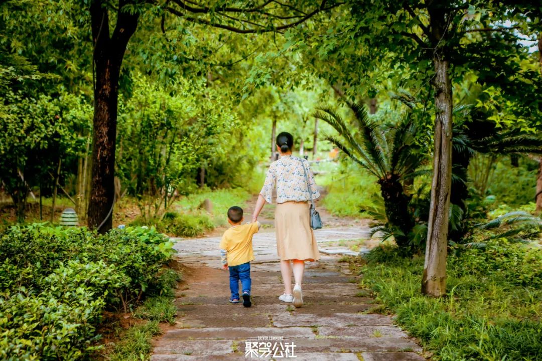 重游中国最美乡村,带你游浙江最美乡村