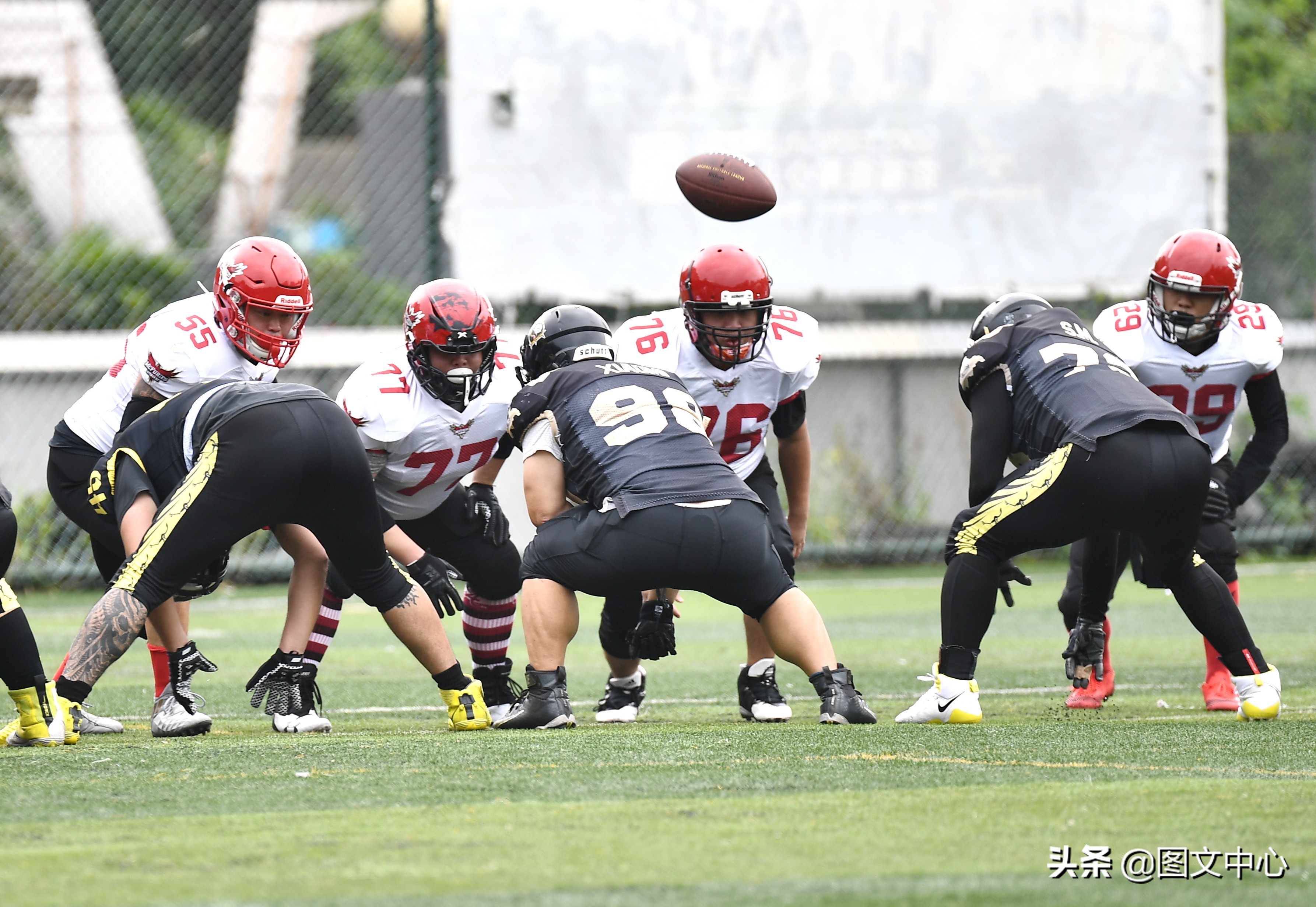 cnfl中国橄榄球联赛官网,cnfl橄榄球队伍