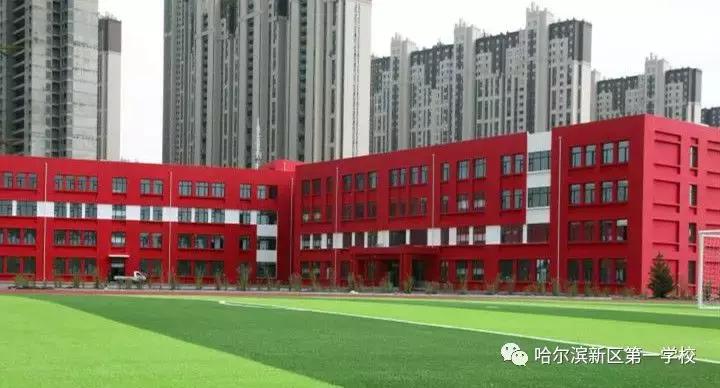 新区好学校,新区好的小学