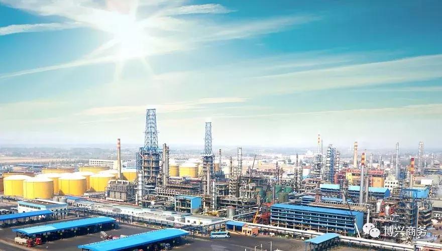 山东肉牛养殖企业排名前十强,滨州博兴十大企业名单