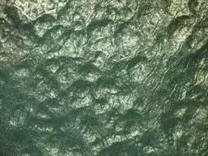 葡萄长锈斑图片,葡萄上有锈斑是什么品种