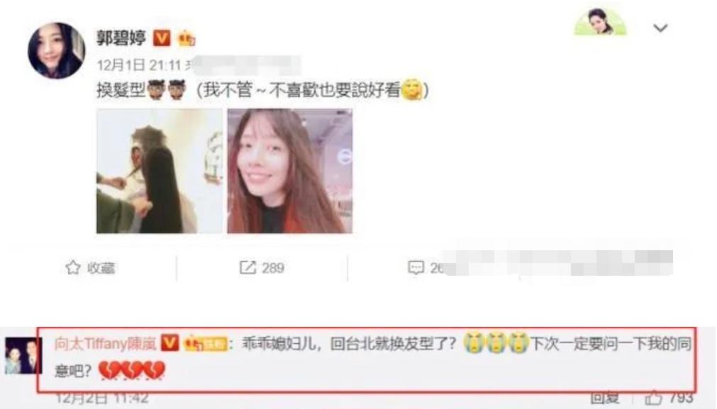 郭碧婷跟向佐谈多久才决定结婚,郭碧婷谈和向佐闪婚的原因