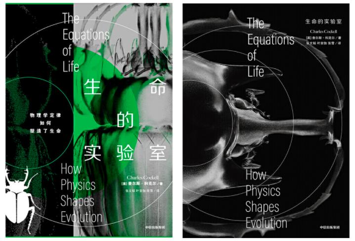 瓢虫为什么不飞,瓢虫不会飞是什么原因