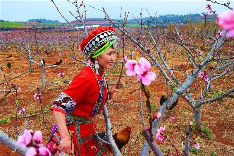 瞧!这花花世界谁不爱