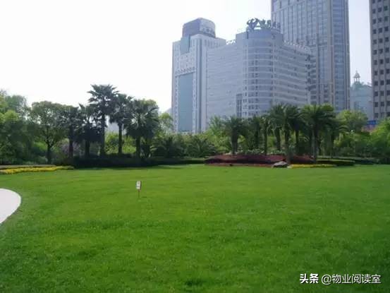 小区绿化日常养护工作内容,小区绿化养护多少钱一个平方