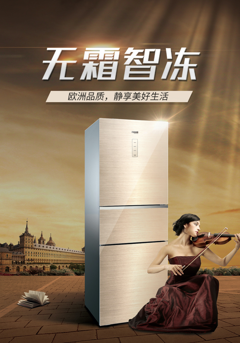 出售伊莱克斯190升两开门冰箱,伊莱克斯冰箱5319