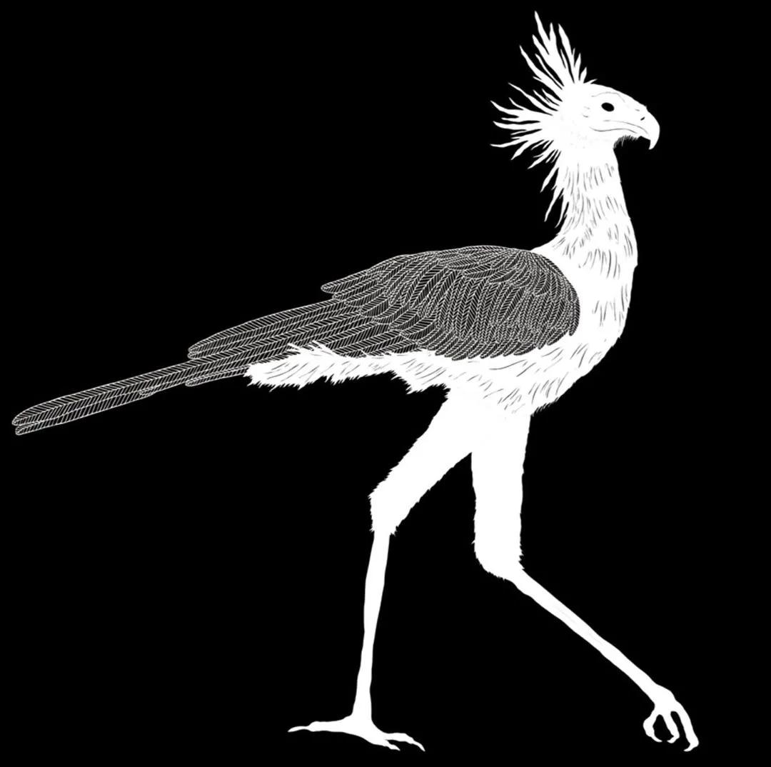 她用一把手术刀在2毛钱废报纸上雕出精美图腾,一幅卖60万