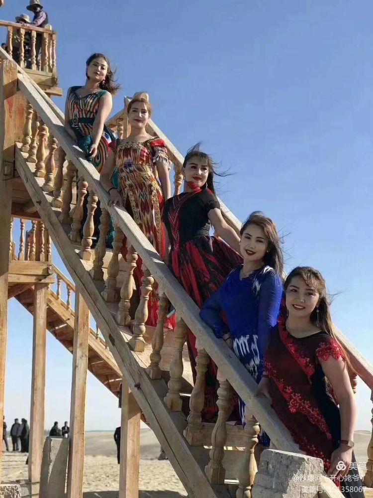 白杨树全文朗读合拍,白杨树文章阅读