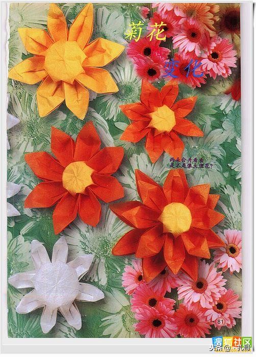 折纸大全方便又漂亮又实用,精致实用的折纸大全步骤