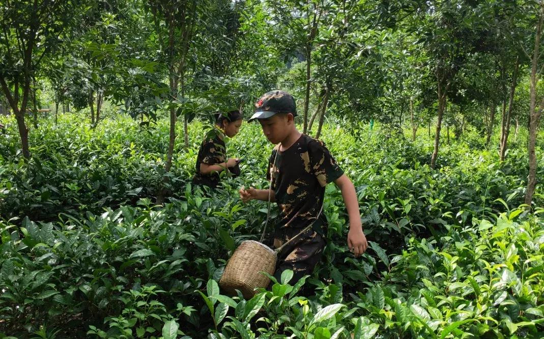 蹇冭埅绾垮浠よ惀鍖椾含,蹇冭埅绾垮浠よ惀