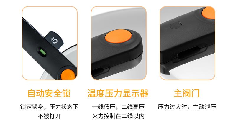 德国两用加厚高压锅家用,德国原装进口高压锅6l