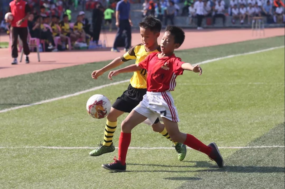 鍏ぇ浣撶郴寤鸿,鍏ぇ浣撶郴鎼厤娉曞垯