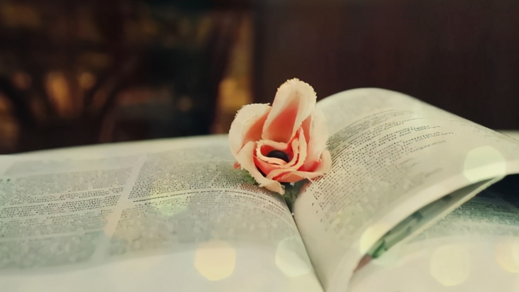 关于以色列你不知道的12个事实,以色列的社会现状