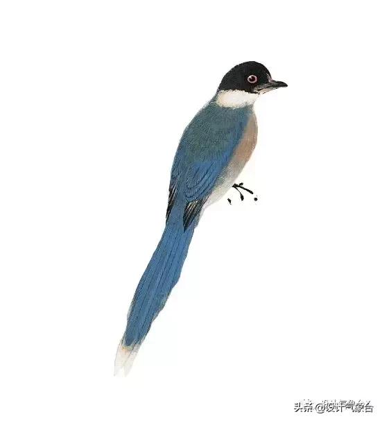 你嫉妒那个用古风出图的同事？我也嫉妒