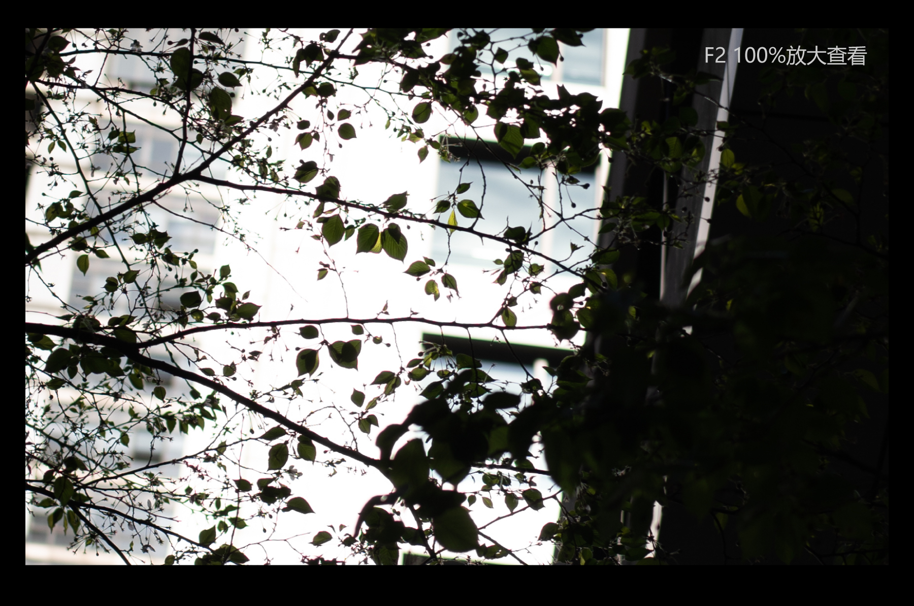 福伦达35mm1.5镜头好不好,福伦达35f2镜头评测