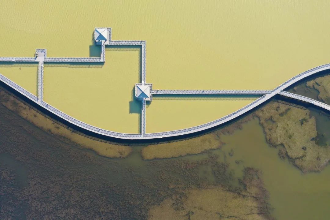 山东东营位置,这就是东营