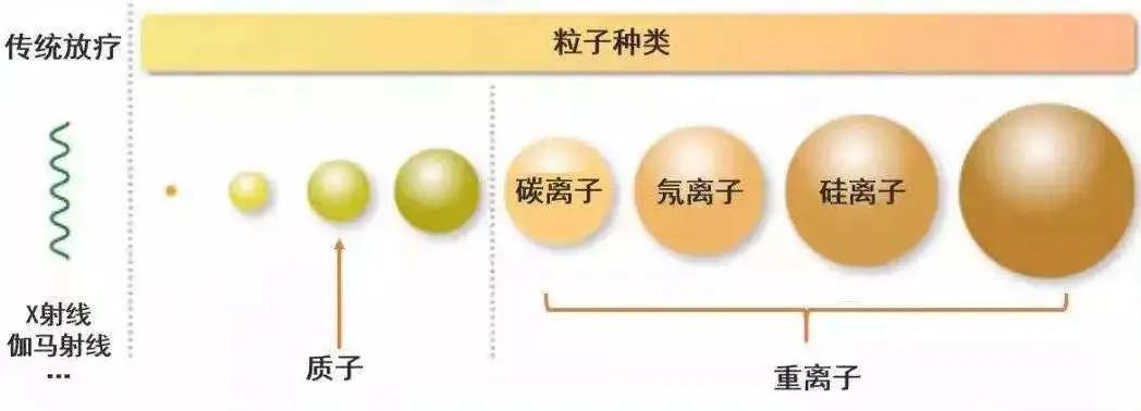 重疾险哪家最好,在线问答完整版