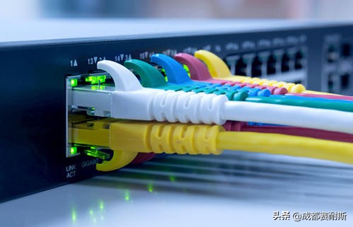 路由器自动获取ip为0是怎么回事,路由器获取ip地址选自动还是固定