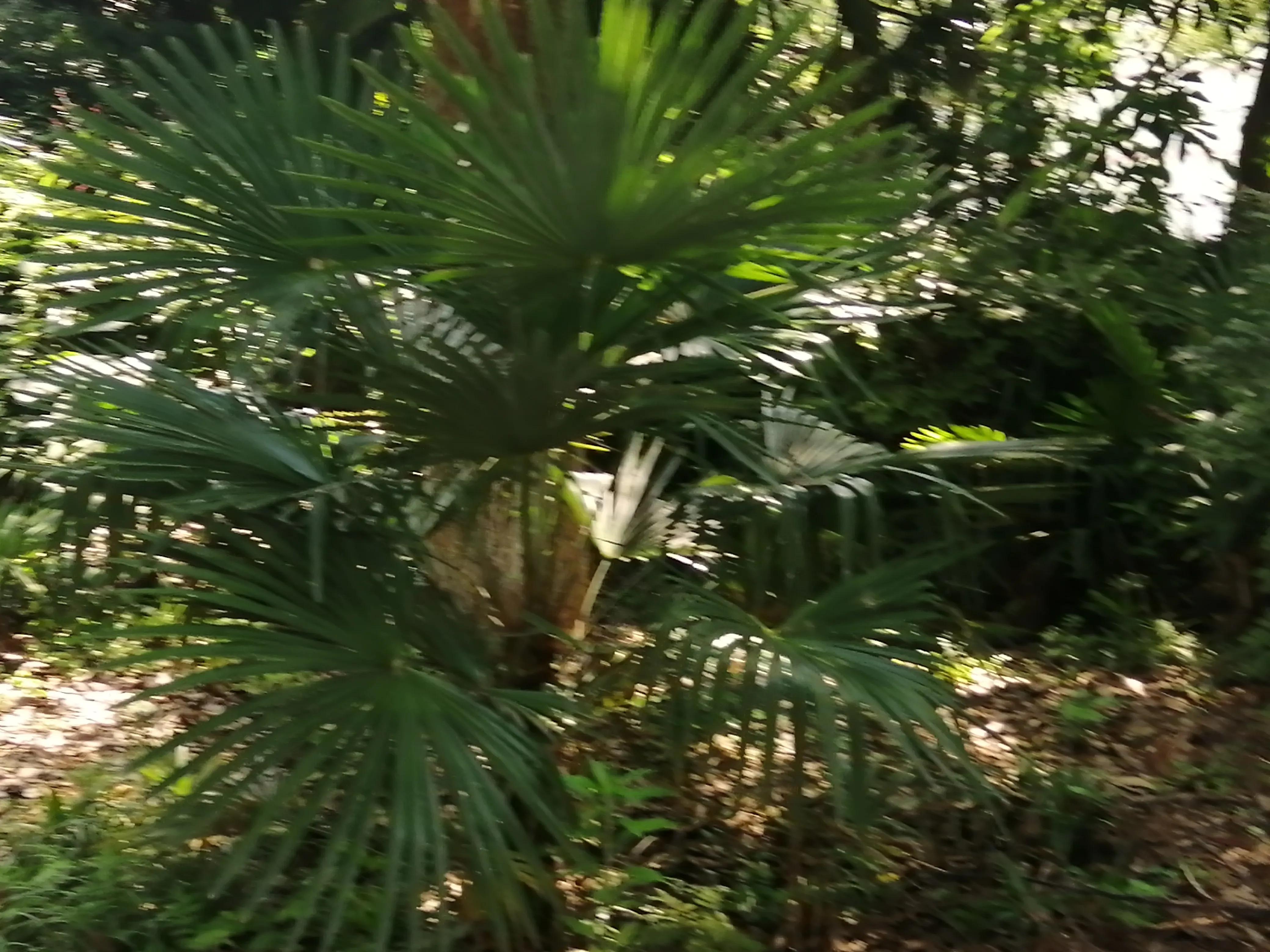 党校环境优美,市委党校崭新亮相