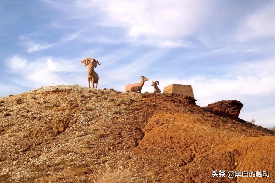 都说新疆好去新疆发展可靠么,都说新疆好地方