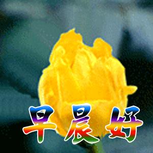 早晨问安:生命中,有风,有雨,但别忘也会有阳光,早晨好!