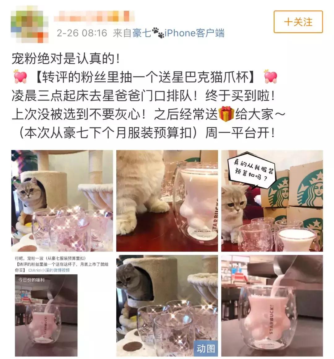 一只猫爪杯，让平静的江湖又掀起了一阵腥风血雨