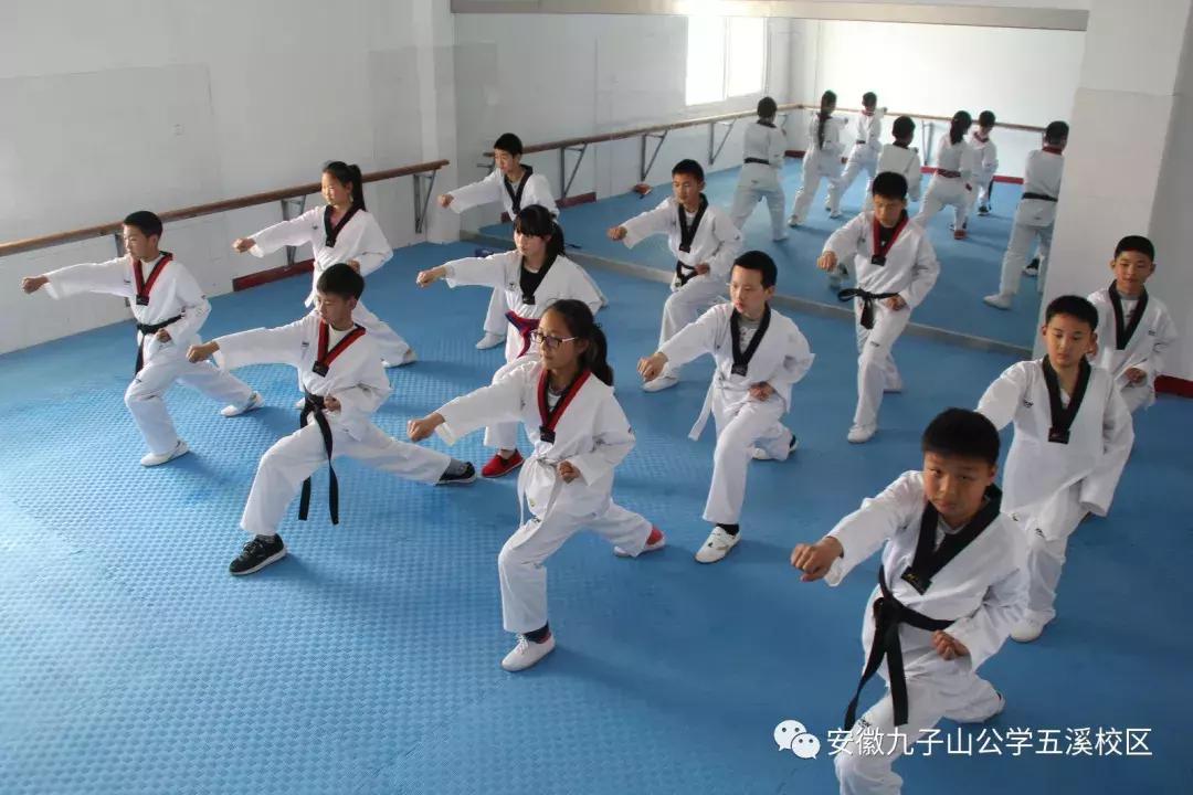 安徽九子山公学是什么学校,池州九子山公学招生热线