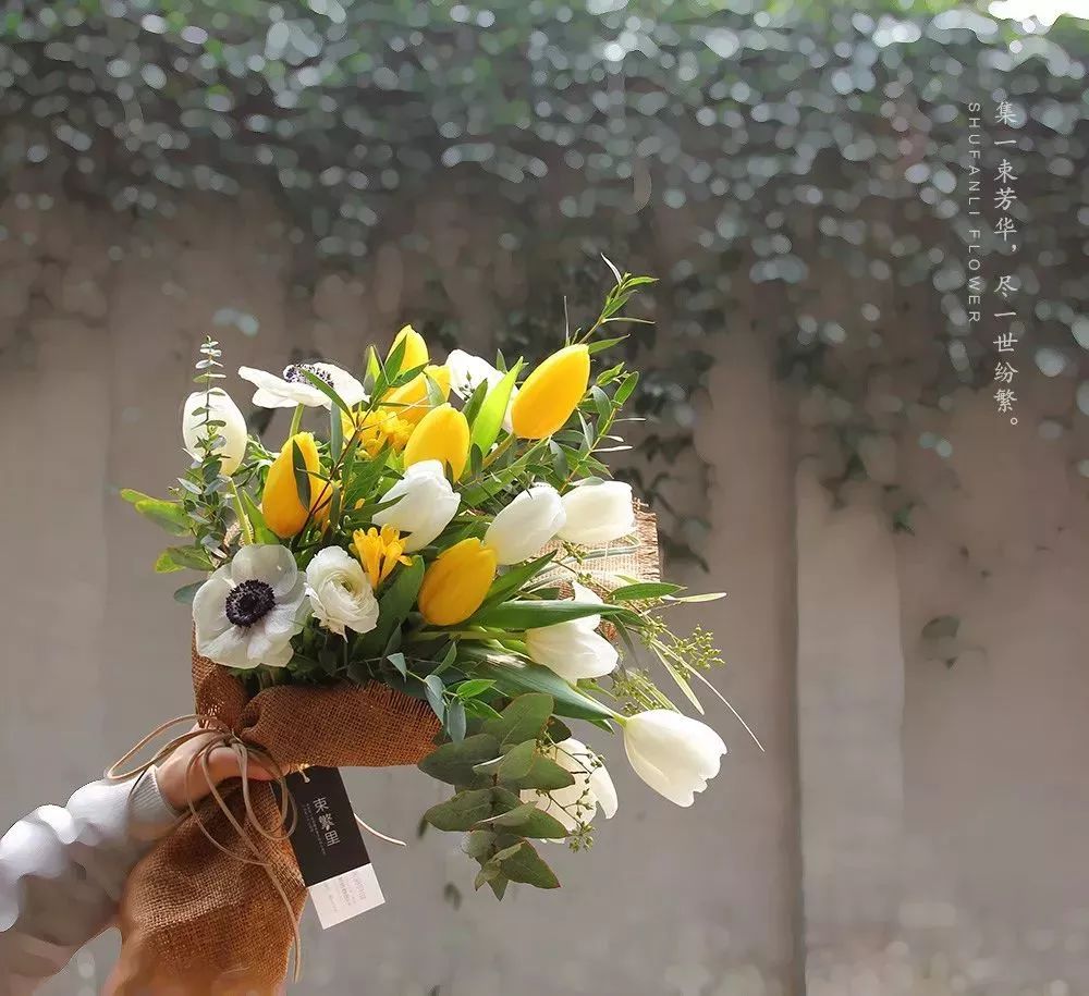 9月10日教师节送什么花呢,教师节感谢老师送什么花好