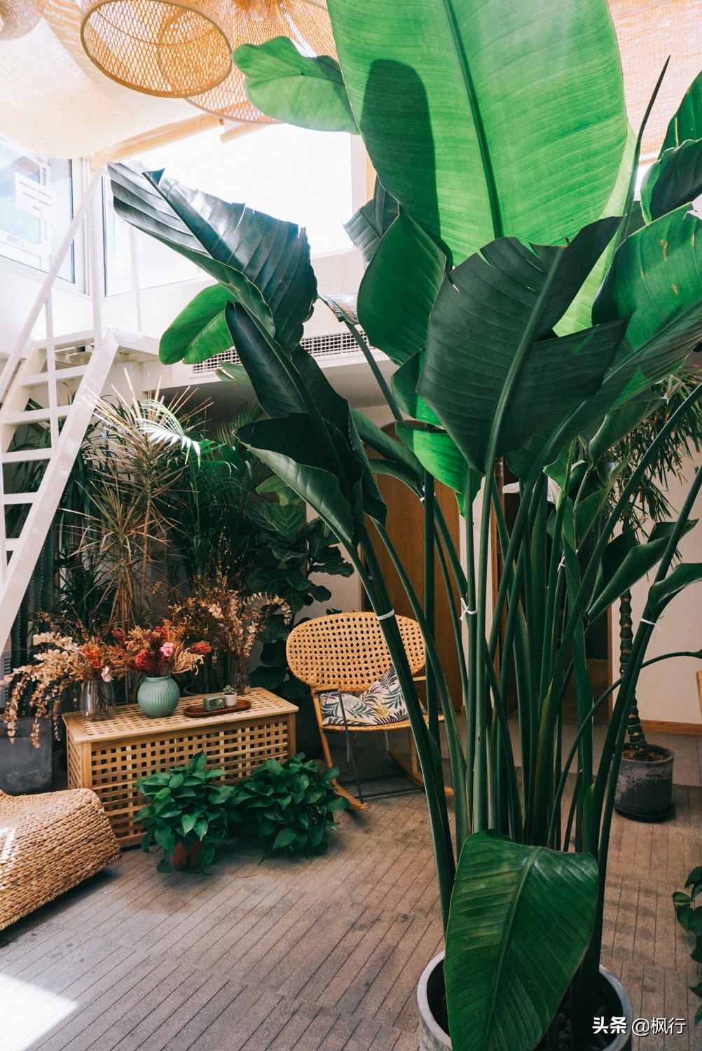 北京必去的咖啡店推荐,从什刹海到东单这5家个性咖啡馆