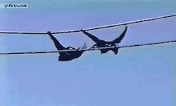 8个超级笑话，送给群里朋友乐一乐