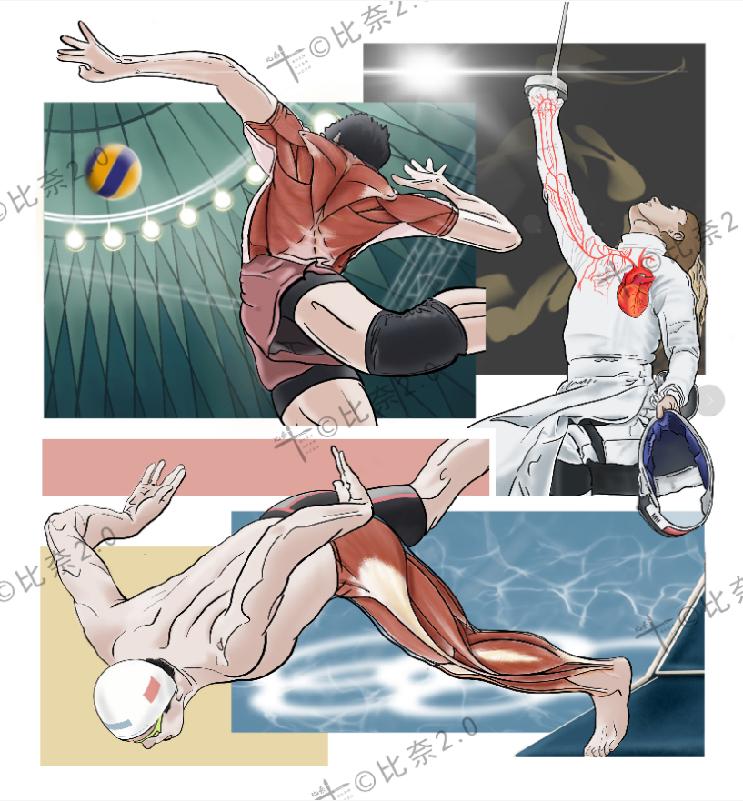 简单易画的人体解剖图,灵魂画手美术生