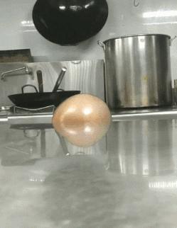 “为啥狗老咬我的黑*袜丝**，是太臭了吗？”哈哈哈连泰迪都看不下去