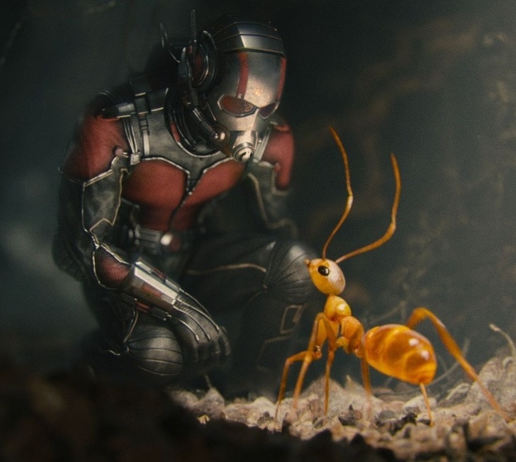 怎么治愈蜘蛛恐惧症,蜘蛛恐惧症患者的心理治疗方法