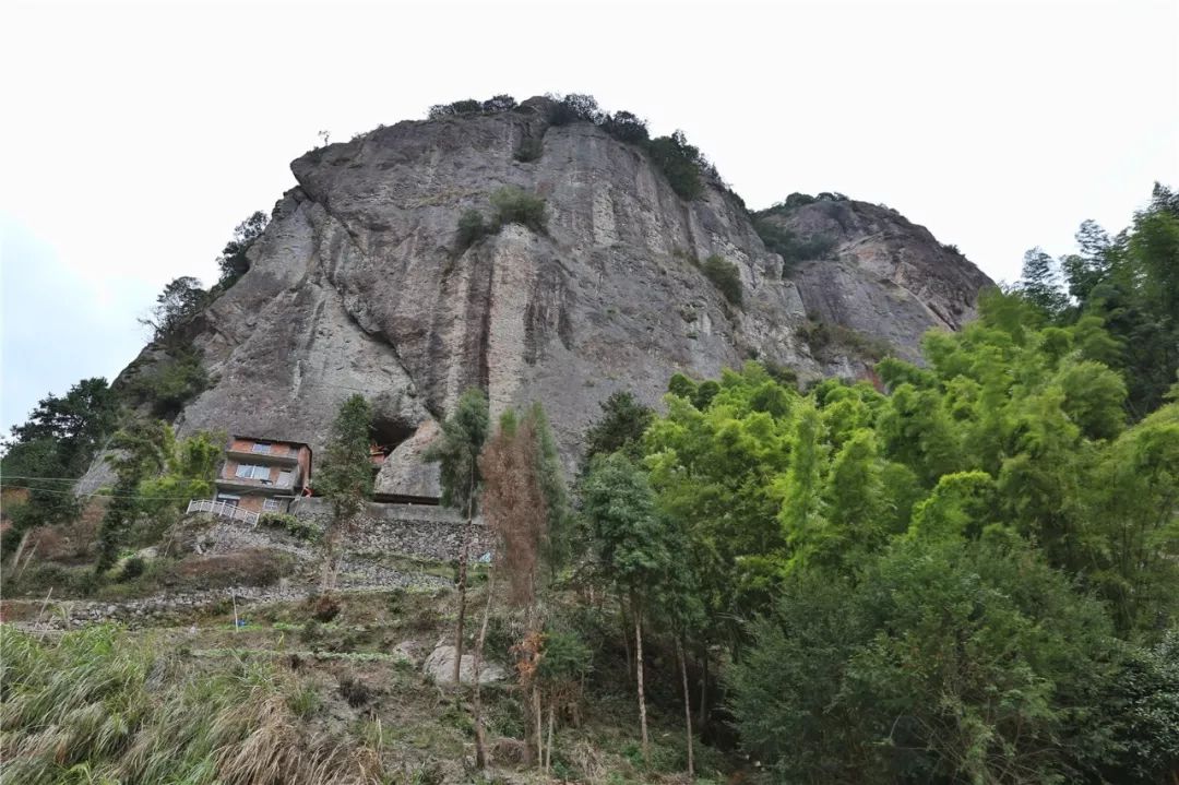 惊艳的一处桃源,乐清秘境原始森林