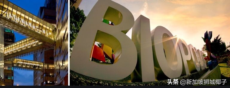 新加坡实体店倒闭名单,新加坡实体店倒闭了多少