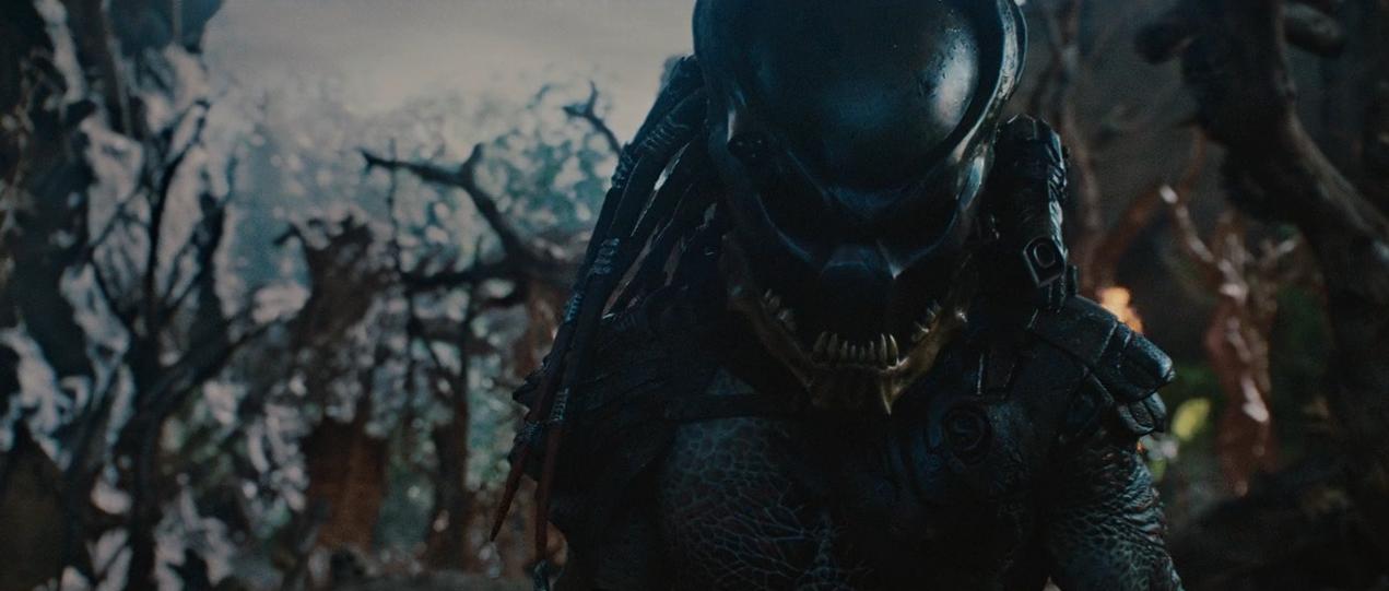 铁血战士系列解析,铁血战士形态全部解析