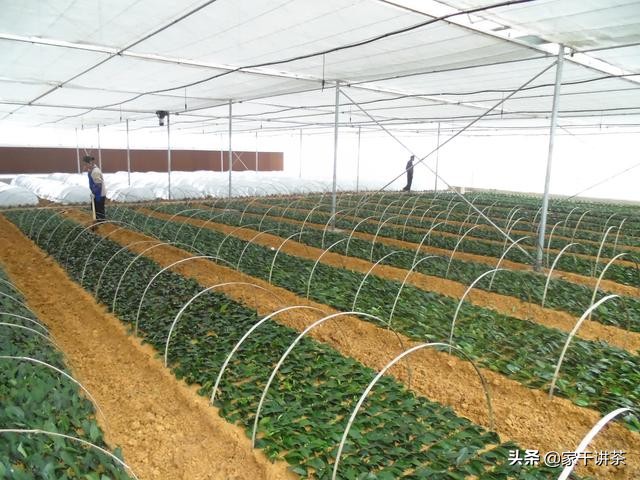 胡继承贵州,贵州胡继承