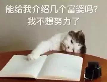 同一件衣服网红店的售价惊为天人？网红店的水有多深...