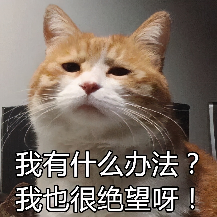 华尔街狼人·韩国岳云鹏·*哈梭**狂魔·金融危机点炮者·比尔黄